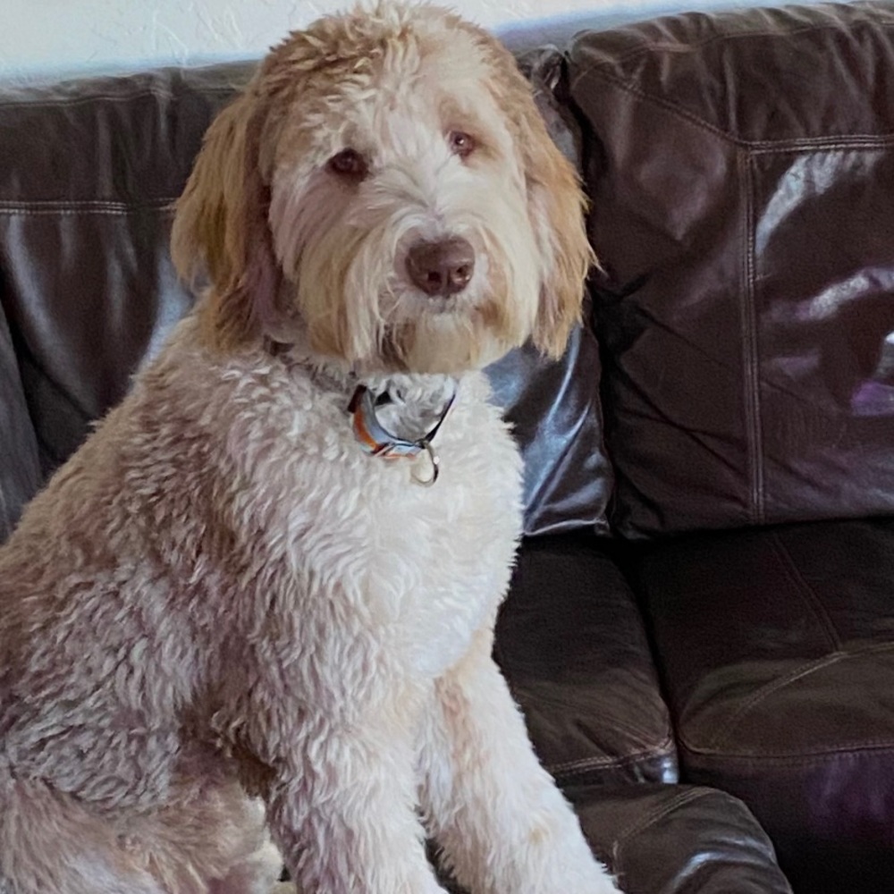 Meet your Posher, Julie